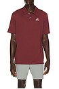 view 1 of 5 Fairway Polo in Raspberry Truffle