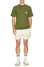 view 4 of 4 Gelato Stand Pocket Tee in Cypress Green