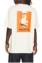view 1 of 4 T-SHIRT CIGARE BERMUDA in Cream