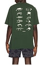 view 2 of 4 T-SHIRT BERMUDA LURES in Forest