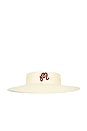 view 1 of 2 Hortensia Visor Hat in Raffia