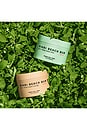 view 8 of 8 Orange Bum + Body Cream in Oregano & Orange