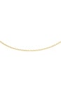 view 2 of 3 Rio Chain Necklace in Polished Gold