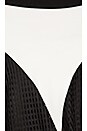 view 5 of 5 Majors Tennis Skirt in White & Black
