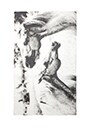 view 3 of 3 Nuzzle Up Horse Print Wrap in Abalone