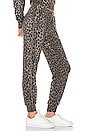 view 2 of 4 Jenny Pant in Grey Multi