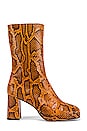 view 1 of 5 Carlota Boot in Citrine Snake