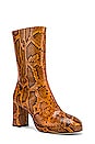 view 2 of 5 Carlota Boot in Citrine Snake
