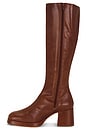 view 6 of 5 Donna Grany Tall Boots in Tan