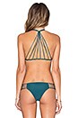 view 3 of 4 Banyans Bikini Top in Jade