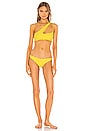 view 4 of 4 HAUT DE MAILLOT DE BAIN QUEENSLAND 2 in Yuzu