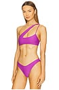 view 3 of 5 Queensland 2 Bikini Top in Royal