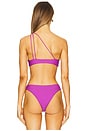 view 4 of 5 Queensland 2 Bikini Top in Royal