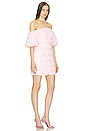 view 2 of 3 MINIVESTIDO NAIA MESH ROSE in Blush
