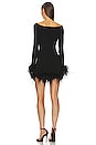 view 3 of 3 Rosette Feather Trim Mini Dress in Black