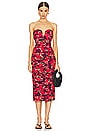 view 1 of 3 Windmill Floral Dress in Red Multi