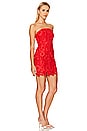 view 2 of 3 Roja Lace Mini Dress in Red