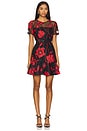 view 1 of 3 Rosie Grand Fleur Dress in Red