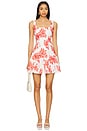 view 1 of 3 Ariel Rose Embroidery Mini Dress in Red & White