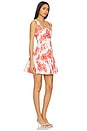 view 2 of 3 Ariel Rose Embroidery Mini Dress in Red & White