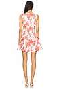 view 3 of 3 Ariel Rose Embroidery Mini Dress in Red & White