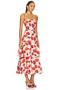 view 2 of 3 Red Peonia Poplin Dress in Red Multi