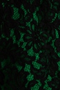 view 6 of 6 Floral Scalloped Lace Claudia Dress in Black/Emerald in Black & Emerald