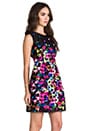view 3 of 6 Graffiti Flowers Dress in Multi