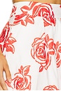 view 6 of 6 Juliet Rose Midi Skirt in Red & White