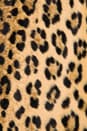 view 7 of 7 Cheetah Faux Fur Mini Pencil Skirt in Multi