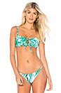 view 1 of 4 Palm Trees Bikini Top in Emerald