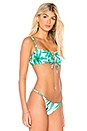view 2 of 4 Palm Trees Bikini Top in Emerald