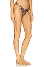 view 2 of 4 Niki Leopard O-Ring Bikini Bottom in Multi
