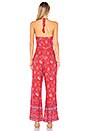 view 3 of 3 Lucia Jumpsuit in Multi