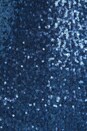 view 6 of 6 Fireworks Sequin Mini Dress in Blue