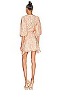 view 3 of 3 Elvire Mini Dress in Multi