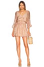 view 1 of 3 Catalina Mini Dress in Multi