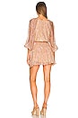 view 3 of 3 Catalina Mini Dress in Multi