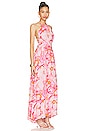 view 2 of 3 Josie Halter Maxi Dress in Floral