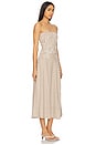 view 2 of 4 Artemis Shirred Midi Dress in Tan Stripe