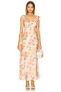 view 1 of 3 Aida Frill Maxi Dress in Apricot Floral
