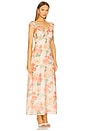 view 2 of 3 Aida Frill Maxi Dress in Apricot Floral