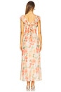 view 3 of 3 Aida Frill Maxi Dress in Apricot Floral