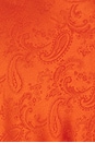 view 4 of 4 ROBE VALENCIA in Paprika Paisley