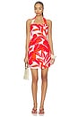 view 1 of 3 Ravelo Halter Mini Dress in Red & White Leaf