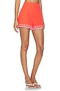 view 2 of 6 Amaya Embroidered Shorts in Coral & Pink