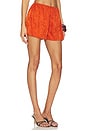 view 2 of 6 x REVOLVE Valencia Short in Paprika Paisley