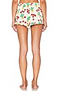 view 3 of 4 Prickle Me Ruffle Short in Multi
