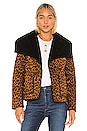view 1 of 5 Let It Happen Reversible Jacket in Leopard