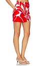 view 2 of 6 Ravelo Mini Skirt in Red & White Leaf